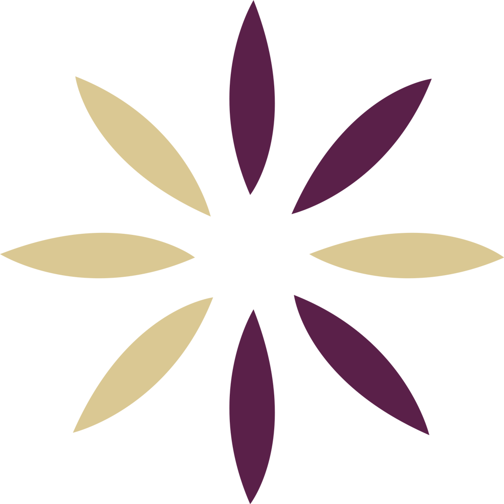 Kingsway dermatology logo icon